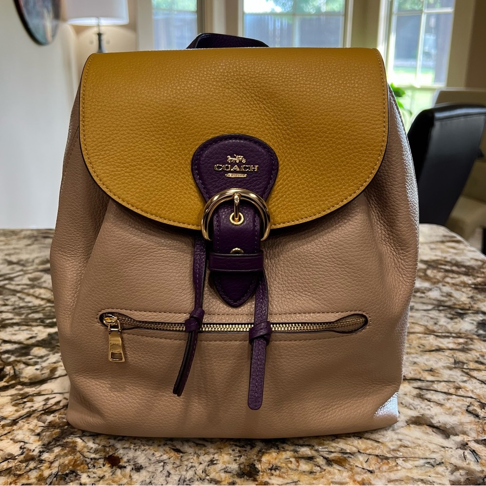 Coach Kleo Backpack Colorblock
